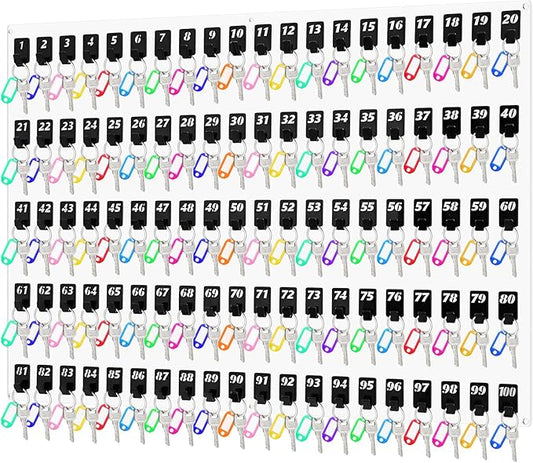 Acrylic Key Board with 100 No. Hooks Wall Mount Key Rack Holder Hanger Storage Collection for School, Garage, Car Dealer, Office, Hotel, Real Estate(Transparent)