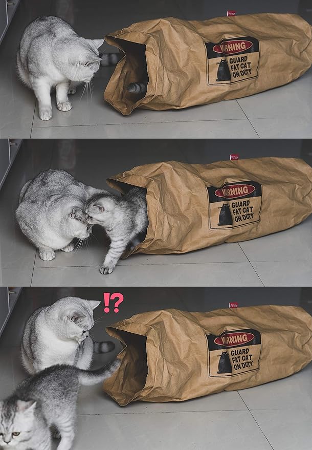 Cat Tunnel - Unbreakable Cat Cave & Hideaway Tube Toy, Brown, 1 Count