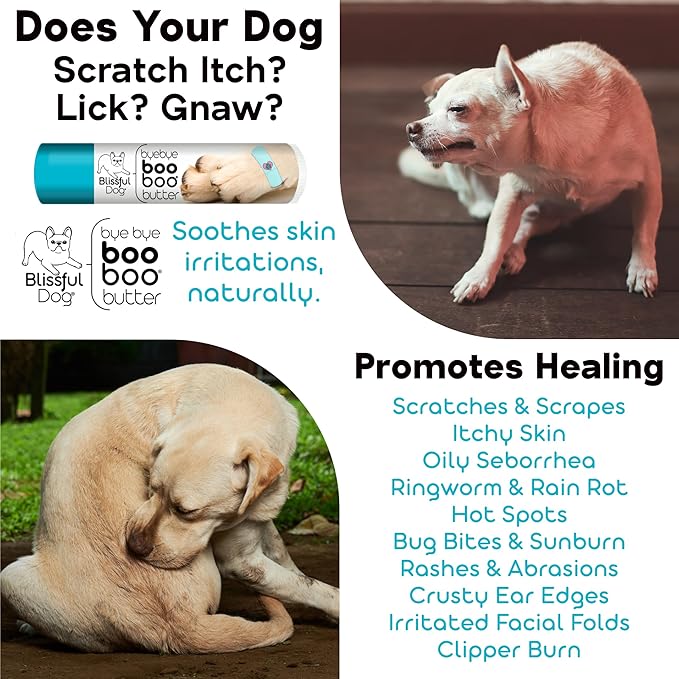 The Blissful Dog .50 oz Tube Chihuahua Booboo Butter