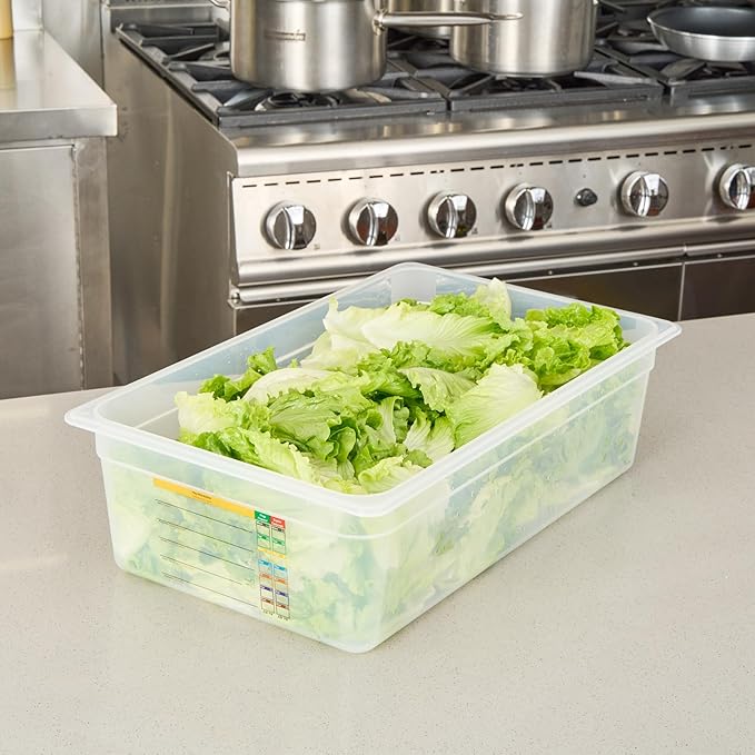 Restaurantware Food Pans Pack of 10 Plastic Rectangle Food Containers Full Size with Traceability Label, Storage Containers Dishwashable Hot Cold Friendly for Restaurants Buffet Commercial Use