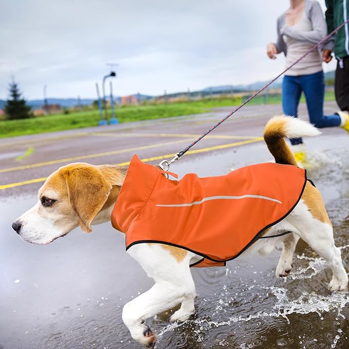 Mile High Life Dog Raincoat, Adjustable Waterproof Reflective Rain Jacket for Small Medium Large Dogs, Lightweight Breathable Pet Rain Coat with Leash Hole(Orange,XXS Chest 16-19")