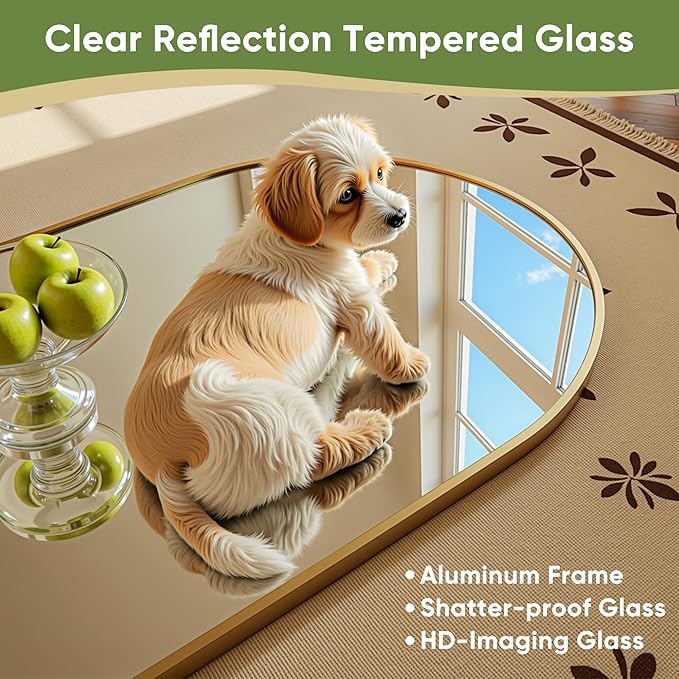 Full Length Mirror, 64"x21" Arched Full Body Mirror, Floor Mirrors with Stand, Standing Hanging Leaning Against Wall,Aluminum Frame Mirrors for Bedroom Cloakroom,Living Room,Gold