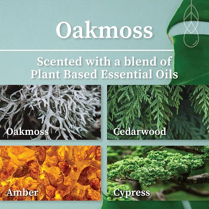 Hemlock Park Amber & Gold Wood Wick Candle Handcrafted with Natural Coconut Wax (Standard 7.2 oz, Oakmoss)