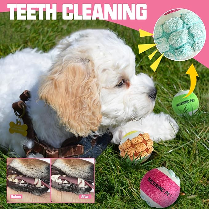 X-Small Dog Tennis Balls Dog Toys Ball 1.72" Pack of 12, Fit Ball Launchers