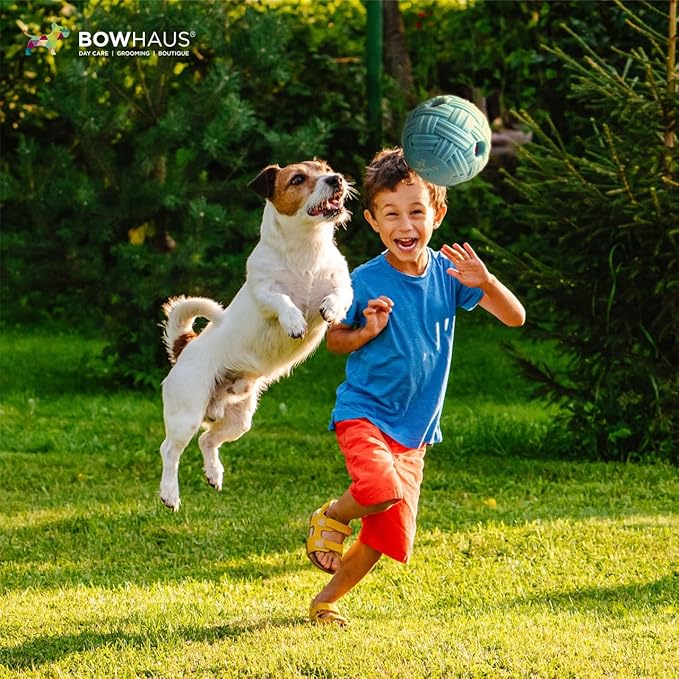 CAPHAUS Knitted Texture Wobble Giggle Ball, 5.5 Inch Durable Dog Exercise Toys, Non-Toxic Indestructible PVC Giggle Ball, Interactive Fun Squeaky Chew Toy for Indoor Outdoor Play