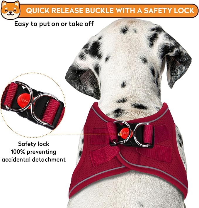 Dog Harness with Leash Set, No-Pull Step-in Reflective Pet Harness with 1 Leash Clips, Adjustable Soft Padded Easy Walk Dog Vest for Small Medium Large Dogs, Cats(Bright Red, XXXSmall)