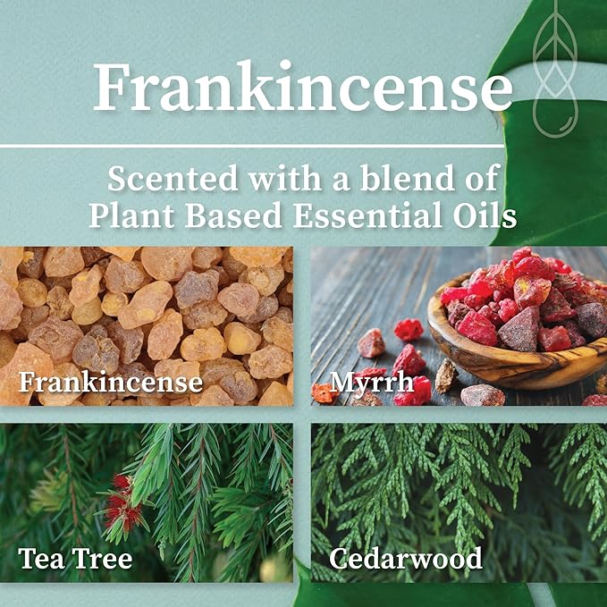 Hemlock Park Crackling Wood Wick Candle Handcrafted with Natural Coconut Wax (Standard 8 oz, Frankincense)