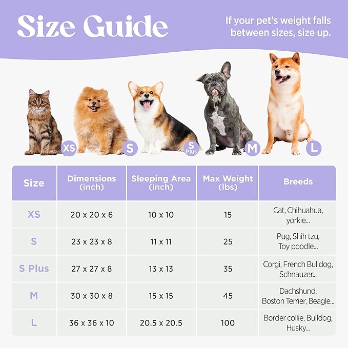 LE SURE Donut Small Dog Bed - Round Cat Beds for Indoor Cats Anti-Anxiety Calming Pet Beds, Washable Cute Modern Beds with Teddy Sherpa Plush & Anti Slip Bottom, 23 Inch, Ice Melt
