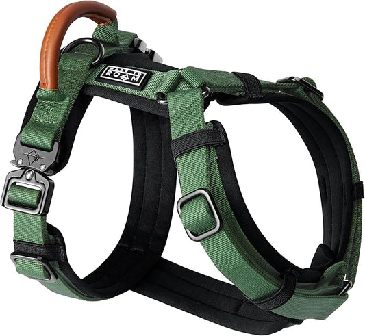 MADE TO ROAM Premium Explorer Harness - Y-Shaped Dog Harness with Adjustable Durable Nylon, Soft Padding, Metal Buckles and Leather Handle for Small, Medium, Large Dogs (Oregon Haze, Size 1)