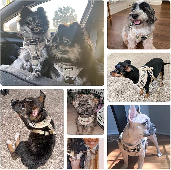 SCENEREAL Puppy Dog Harness with Leash Set for Small Medium Sized Dogs, Soft Mesh Step in Pet Harnesses and Leash, No Chock Plaid Adjustible No Pull Vest for Dogs Cats, Chihuahua,Bulldog (Beige M)