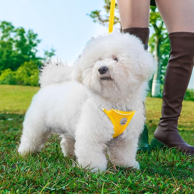Dog Harness and Leash Set, No Pull Soft Mesh Puppy Harness for Small Medium Dogs, Cats - Step in Reflective Breathable Lightweight Vest Harness for Walking, Training - Yellow, S