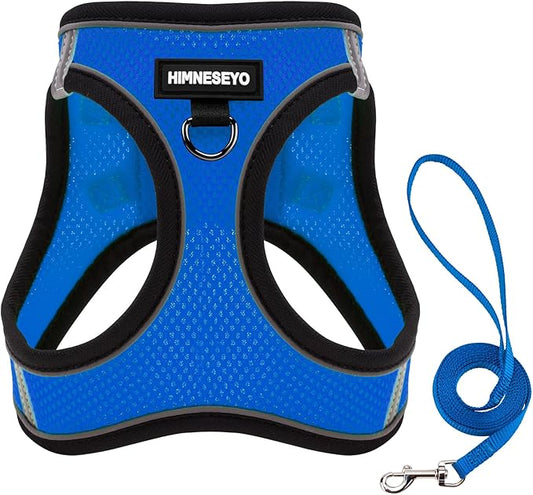 Dog Harness and Leash Set, Dog Harness for Dogs No Pull, No-Chock Step-in Reflective Breathable Lightweight Easy Walk Vest Harnesses with Safety Buckle for Small Medium Dogs, Cats (Blue, XXS)