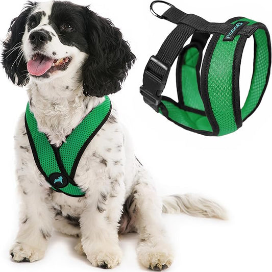 Gooby Comfort X Head in Harness - Hunter Green, Small - No Pull Dog Harness with Patented Choke-Free X Frame for Small to Medium Dogs Indoor/Outdoor Use