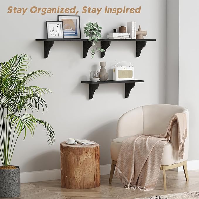 Forbena Wall Mounted Shelves for Bedroom 24 Inches Long, 8 Inch Deep Floating Shelves for Wall, Large Hanging Arched Shelf for Kids Bathroom Living Room Office Decor Plants Books (3-Pack, Black)