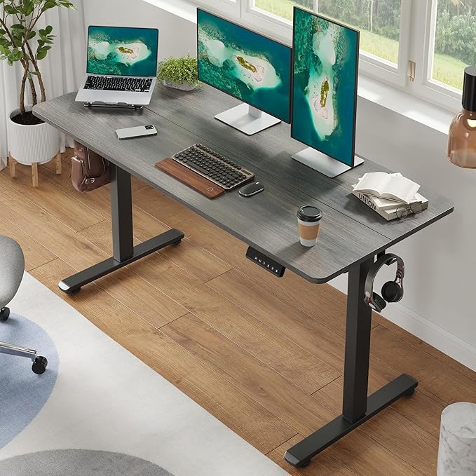 Casaphoria 55 x 24 inches Electric Standing Desk, Sit to Stand Desk with Memory Height Adjustment, Home Office Computer Desk for Writing and Games, Grey