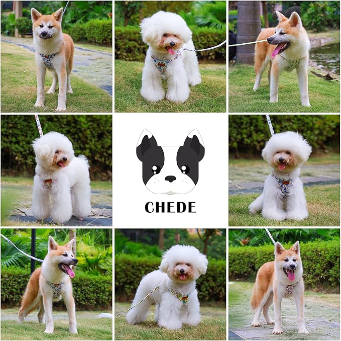 CHEDE No Pull Floral Pattern Dog Harness- Lightweight and Soft Dog Harness, Adjustable Small Dog Harness and Leash Set, with Dog Leash, Suitable for Puppy Small and Medium-Sized Dog
