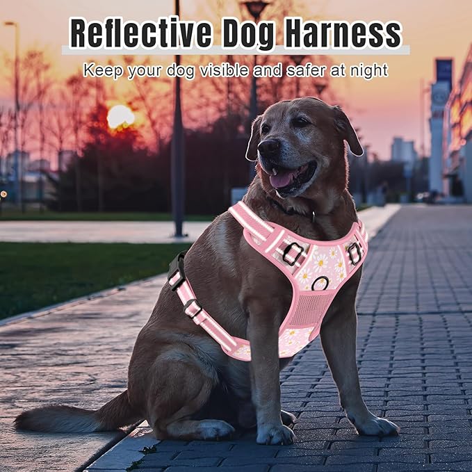 Rnivvi No Pull Dog Harness, Cute Flower Reflective X-Small Sized Puppy Harness, Adjustable Soft Padded Vest for Small Dogs, Cats, Heavy Duty Pet Vest with Easy Control Handle for Walking, Pink Floral