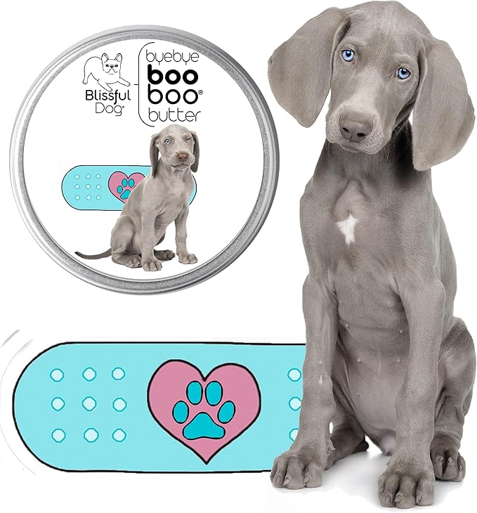The Blissful Dog 4 oz TIN Weimaraner Booboo Butter