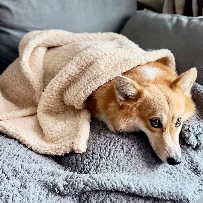 1 Pack 3 Dog Blanket Calming Blankets Fluffy Premium Fleece Puppy Blanket Soft Sherpa Pet Blanket for Dog Puppy Cat Beige/Black/Grey,Large (40" x30’’)