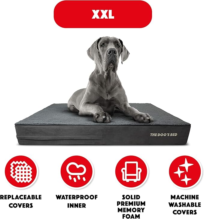 The Dog’s Bed Orthopedic Memory Foam Dog Bed, XXL Grey Plush 54x36, Pain Relief for Arthritis, Hip & Elbow Dysplasia, Post Surgery, Lameness, Supportive, Calming, Waterproof Washable Cover