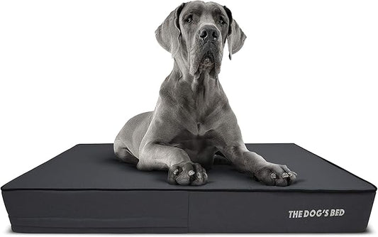 The Dog’s Bed Orthopedic Memory Foam Dog Bed, XXL Grey & Black 54x36, Waterproof, Supportive Dog Bed with Replaceable Covers, Veterinary Approved