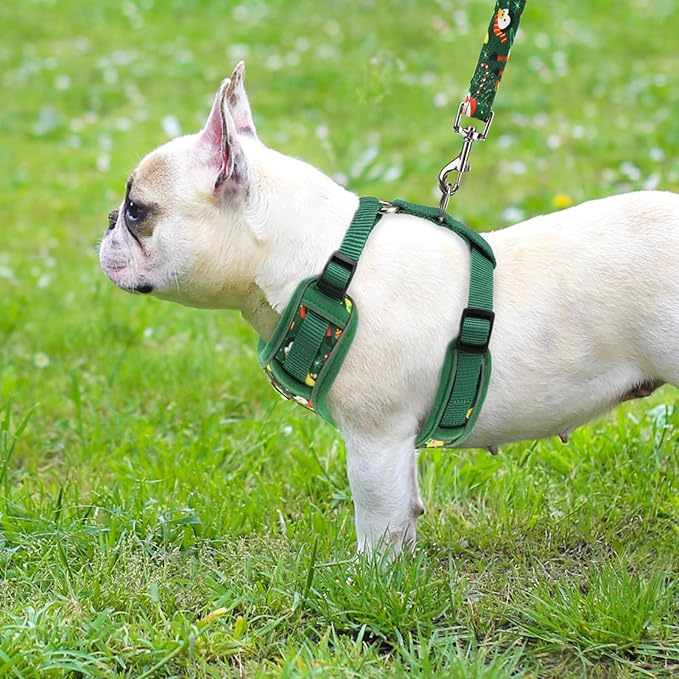 PUPTECK Christmas Small Dog Harness and Leash Set, No Pull Adjustable Puppy Cat Harness, Reflective Soft Mesh Pet Vest Small Sized, Green M