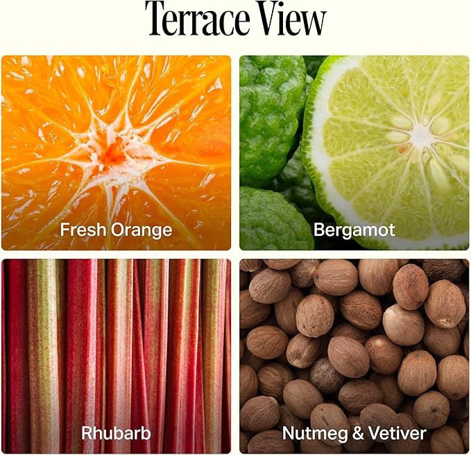 Preston Lane Luxury 2-Wick Scented Candle, Terrace View, 7.5 oz Hand-Poured in USA | Long Burn Time (20–30 Hrs), Vegan Soy Wax Blend, Decorative Glass Vessel, Fine Italian Fragrance