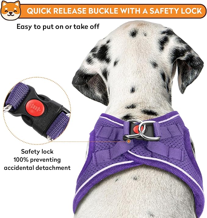 Dog Harness with Leash Set, No-Pull Step-in Reflective Pet Harness with 1 Leash Clips, Adjustable Soft Padded Easy Walk Dog Vest for Small Medium Large Dogs, Cats(Light Purple, Medium)