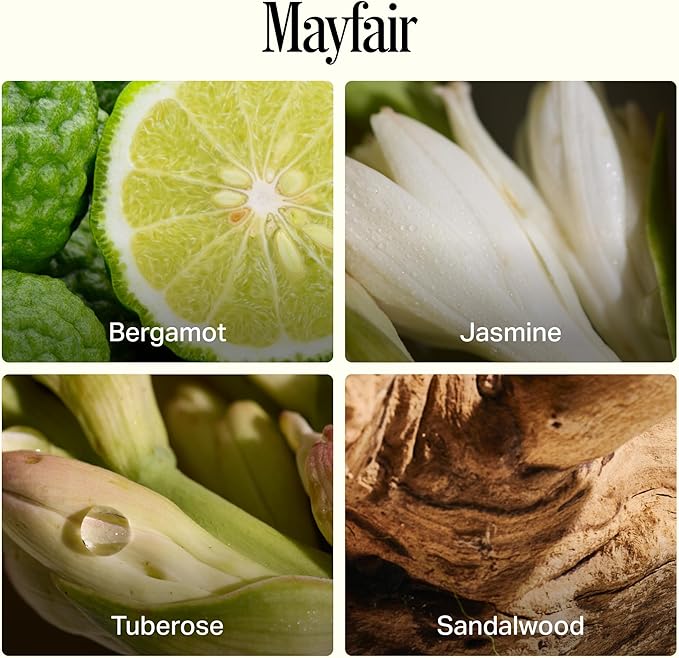 Preston Lane Luxury 3-Wick Scented Candle, Mayfair, 24 oz Hand-Poured in USA | Long Burn Time (40–50 Hrs), Vegan Soy Wax Blend, Decorative Ceramic Vessel, Fine Italian Fragrance