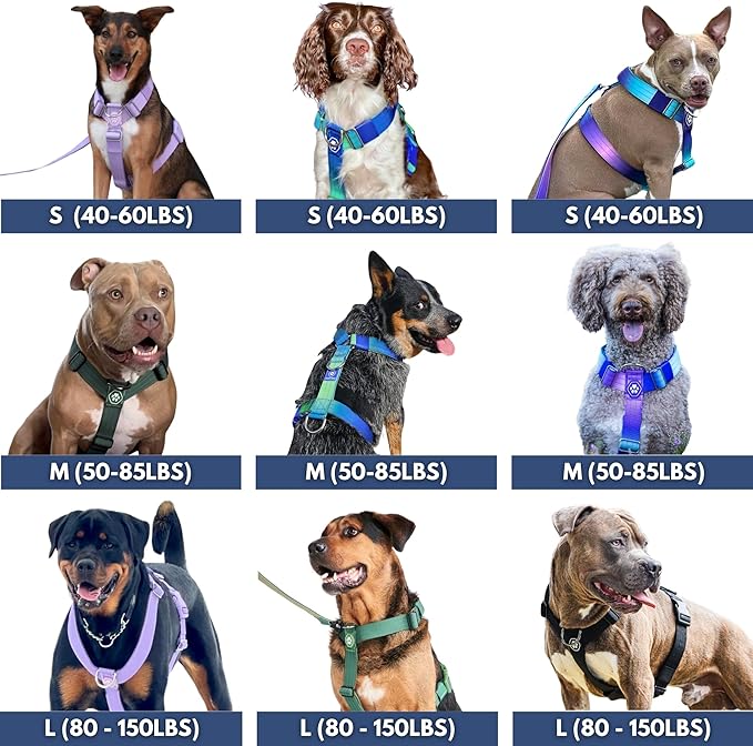 Spark Paws No Pull Dog Harness for Large Dogs, Heavy Duty Dog Harness for Big Strong Breeds, Adjustable, Y Shaped Padded Halter Design with Front Clip - Purple - Small