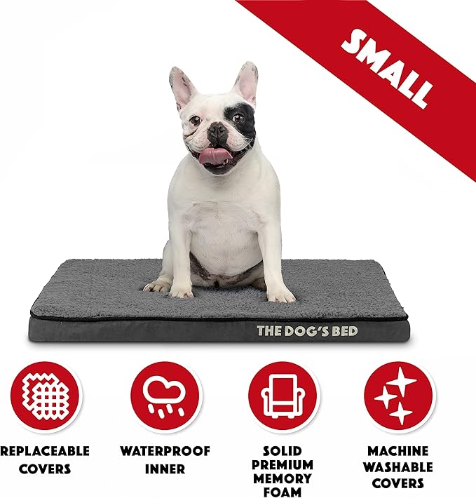 The Dog’s Bed Orthopedic Memory Foam Dog Bed, Small Grey Plush 28x19, Pain Relief for Arthritis, Hip & Elbow Dysplasia, Post Surgery, Lameness, Supportive, Calming, Waterproof Washable Cover