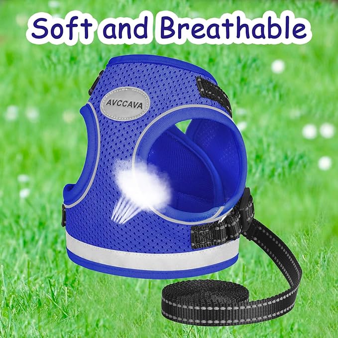 Cat Harness and Leash for Walking, Kitten Escape Proof Harnesses, Adjustable Reflective Puppy Harness with Leashes Set, Easy Adjustable Soft net Breathable Pet Safety Vest