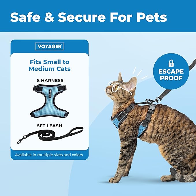 Voyager Escape Proof Cat Harness and Leash Set with Reflective Stitching, Neoprene Handle 5ft - Supports Small, Medium and Large Cats, Kittens for Walking by Best Pet Supplies - BT-Baby Blue, S