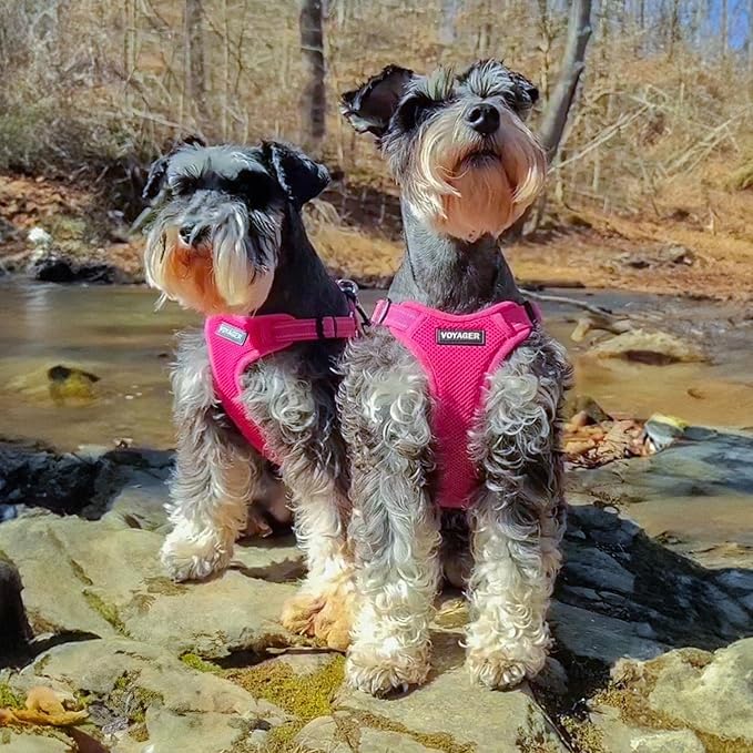 Best Pet Supplies Voyager Adjustable Dog Vest Harness Breathable No Pull Harness for Small, Medium, Large Dogs, Harness for Walking, Jogging, Easy Step-In, Reflective Stripes - Fuchsia, XL