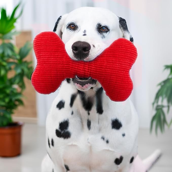 Playology Dog Toys | Plush Squeaky Bone Chew Toy for Dogs | Jumbo Beef Scented Toy - Easy to Clean and Made from Non Toxic Materials