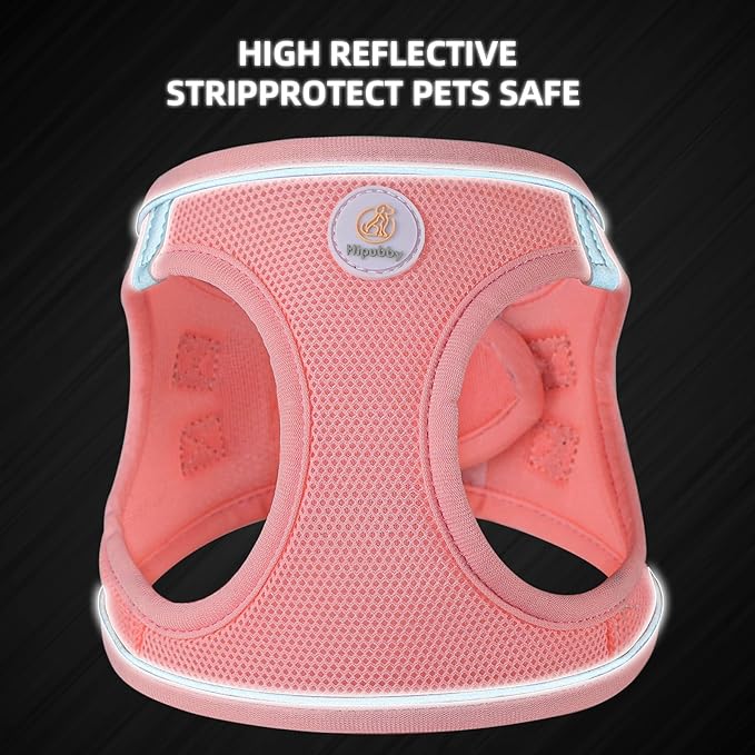 Dog Harness and Leash Set, No Pull Soft Mesh Puppy Harness for Small Medium Dogs, Cats - Step in Reflective Breathable Lightweight Vest Harness for Walking, Training - Pink, M