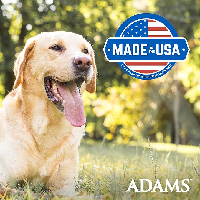 ADAMS Flea & Tick Home Spray, Kills Fleas, Flea Eggs, Flea Larvae, Bed Bugs, Ticks, Ants (Except Carpenter, Harvester, Pharaoh and Fire Ants), Cockroaches, Spiders, & Mosquitoes in The Home, 8 Fl Oz