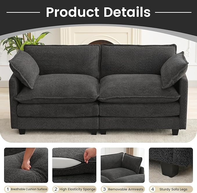 ROWHY Modular Loveseat Sectional Sofa, 78" Upholstered Loveseat, 2 Deep Seat Sofa Couch with 2 Throw Pillows for Small Space, Modern Comfy Cloud Couch for Living Room, Chenille, Charcoal Grey