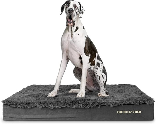 The Dog’s Bed Orthopedic Memory Foam Dog Bed, XXL Grey Fur 54x36, Pain Relief for Arthritis, Hip & Elbow Dysplasia, Post Surgery, Lameness, Supportive, Calming, Waterproof Washable Cover