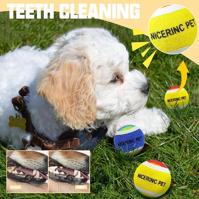 X-Small Dog Tennis Balls Dog Toys Ball 1.5" Pack of 12, Fit Ball Launchers