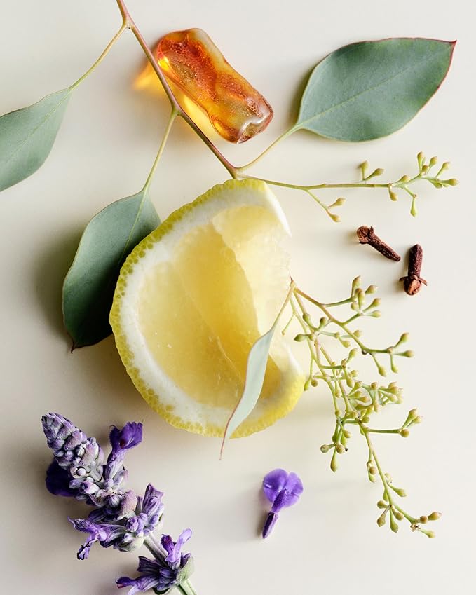 Maison Louis Marie - No. 10 Aboukir Soy Wax Candle | Luxury Fragrances for a Modern World (8.5 oz | 240 g)