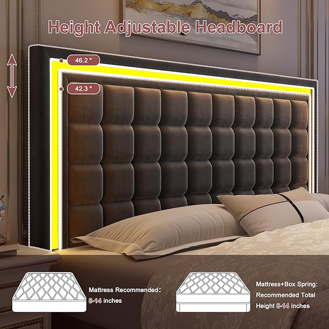 Queen Led Bed Frame with 4 Storage Drawers, Bed Frame with Led Lights No Box Spring Needed, 900 lbs Capacity, Easy Assembly, Sturdy Design, Velvet Grey