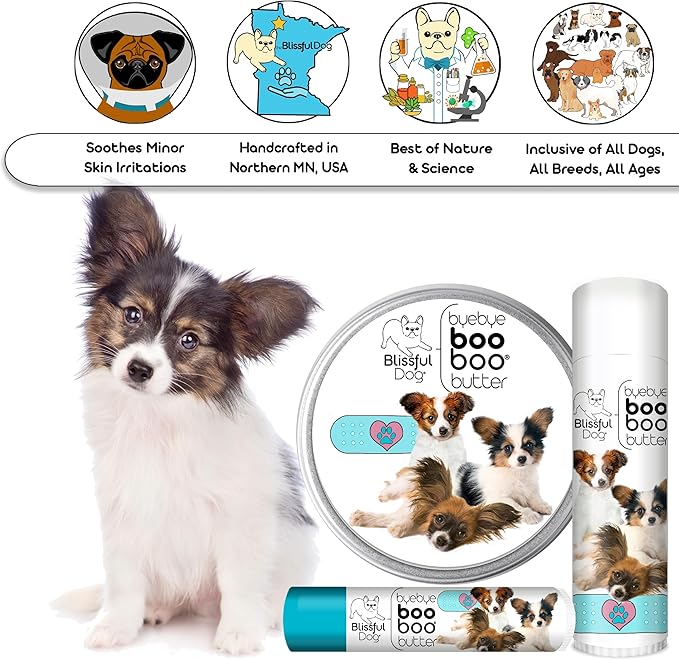 The Blissful Dog Papillon Boo Boo Butter, 2-Ounce