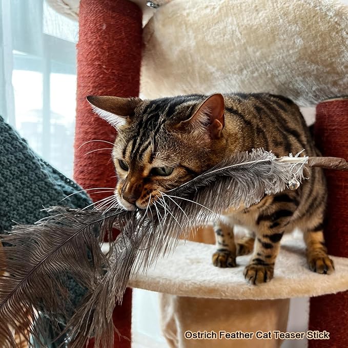 TTcat Cat Wand Toys Feather Stick Toys,3 Pcs Cat Teaser Sticks with Different Feathers, Peacock, Chicken Feathers,Interactive oys for Indoor and Kitten.