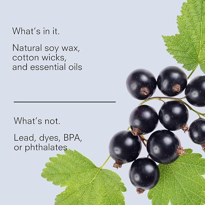 Public Goods Scented Soy Candle for Women & Men | Large 3 Wick Glass Candle | Long Lasting & Non Toxic | Made with Natural Soy Wax & Organic Essential Oils | Gift Box | 12.3oz Jar | Black Currant