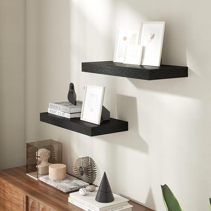 20 Inch Floating Shelves for Wall, 8 Inch Deep Floating Shelf for Storage & Display, Rustic Wall Mounted Shelf with Invisible Brackets for Living Room, Kitchen, Bathroom, Home Decor, Set of 2, Black