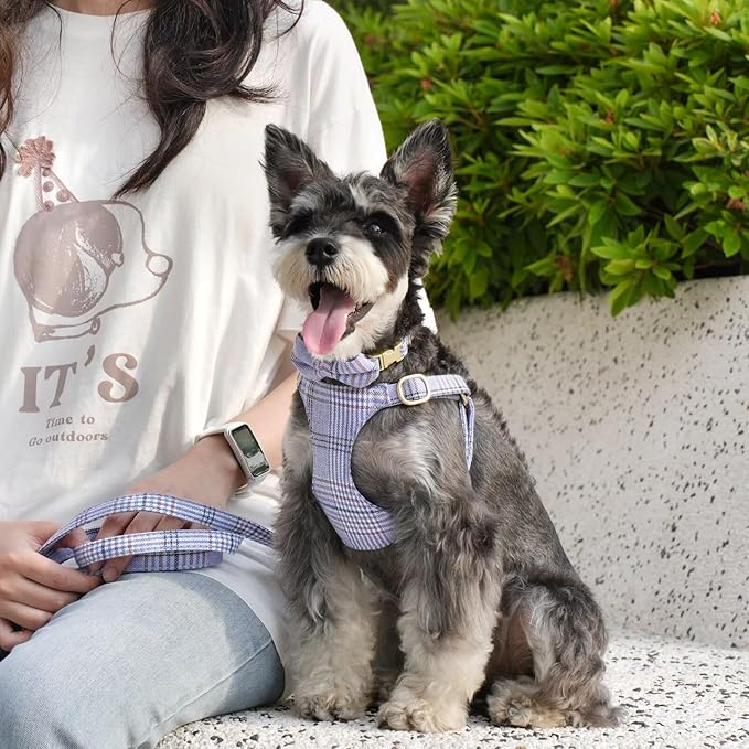 Beirui Cute Small Dog Harness Collar and Leash Set with Bowtie, Soft Adjustable Plaid Puppy Harness for Small Sized Dogs Cats Walks Parties and Photoshoots(Blue,S:Chest 17-23")