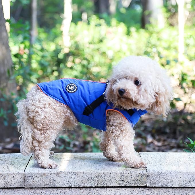 Norbi Pet Warm Jacket Small Dog Vest Harness Puppy Winter 2 in 1 Outfit Cold Weather Coat Medium