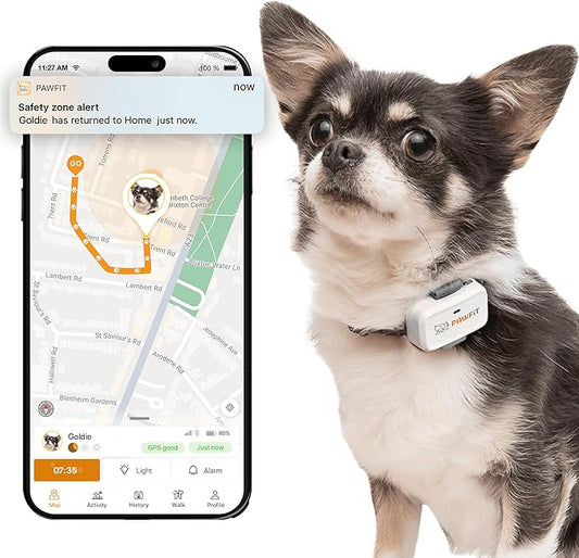 Lite for Small Dogs 4g GPS Tracker | Real Time Tracking | Activity Monitoring |Location History | Unlimited Range | Charcoal Grey