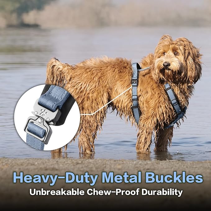 PawsPassion Dog Harness for Large Dogs, No Pull Dog Harness Easy Walk with Metal Hardware, Ergonomic Y-Shaped Design, Soft Padding, Padded Handle, Durable High-Tensile Nylon (Horizon, L)